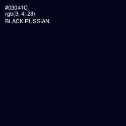 #03041C - Black Russian Color Image